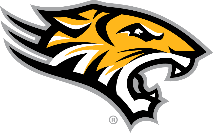 Towson Tigers 2011-Pres Secondary Logo diy DTF decal sticker